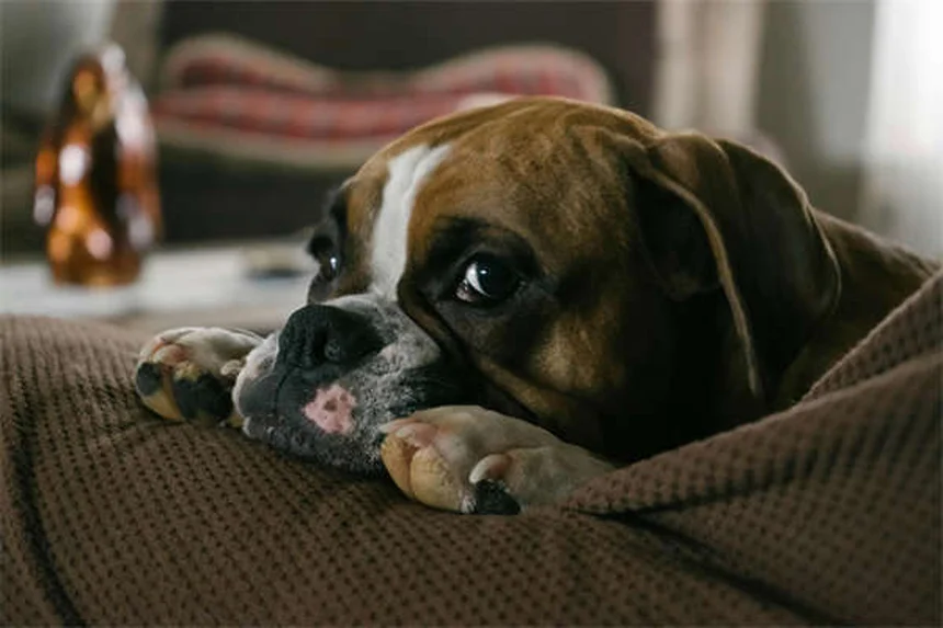 Slate Electric Mini-Pickup: Is It Still Worth Buying Without Tax Credits?